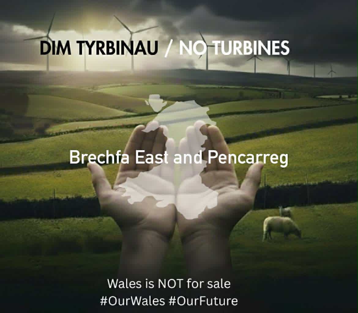 Our Wales Our Future logo